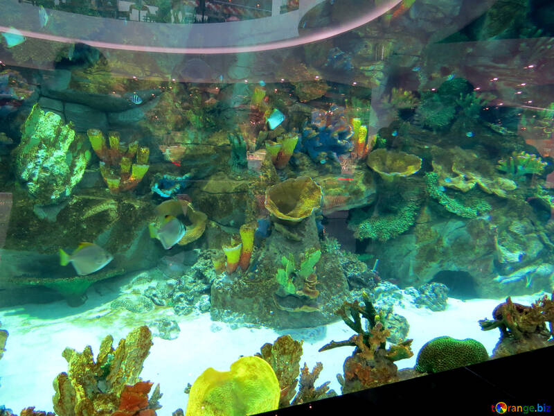 Великий акваріум №16504