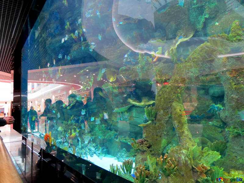Aquarium im Speicher №16505