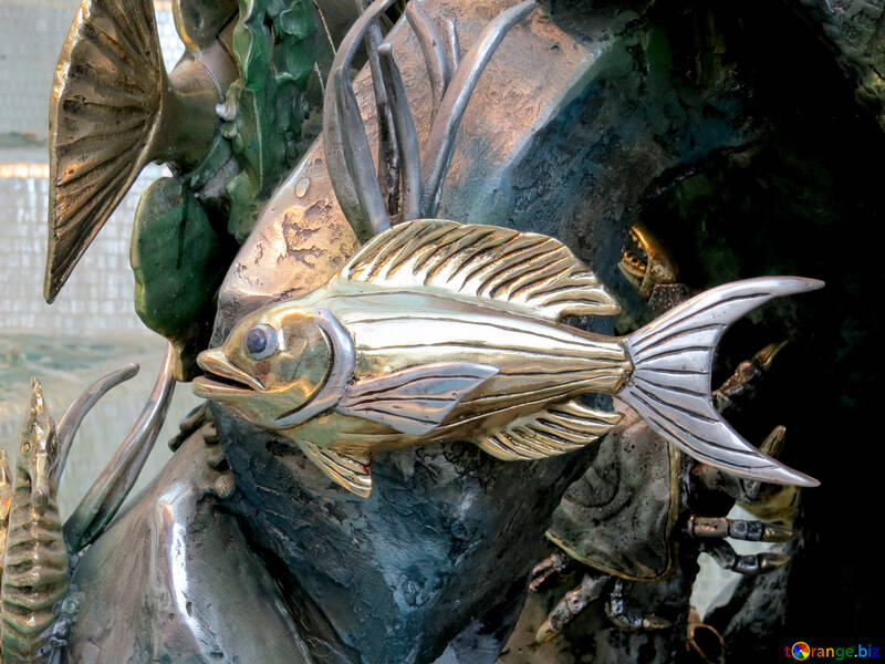 Golden fish №16564