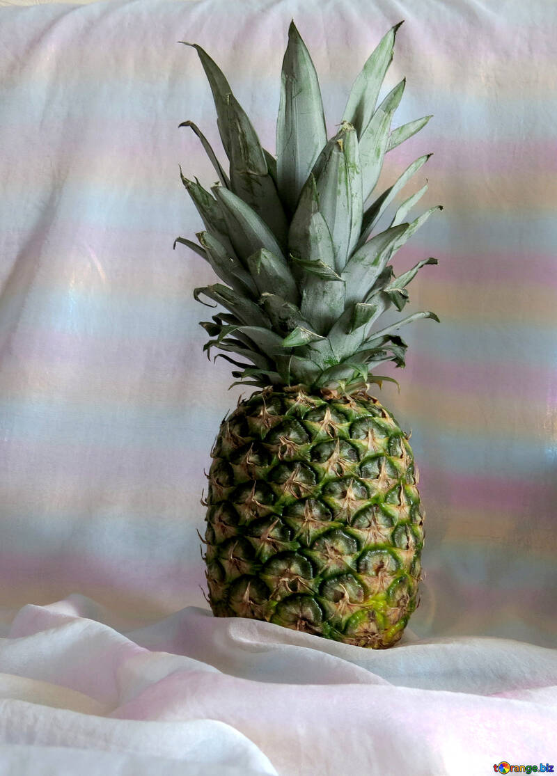 Ananas №16005