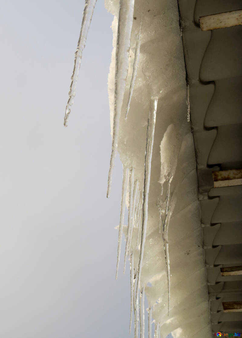 Icicles on the roof №16618