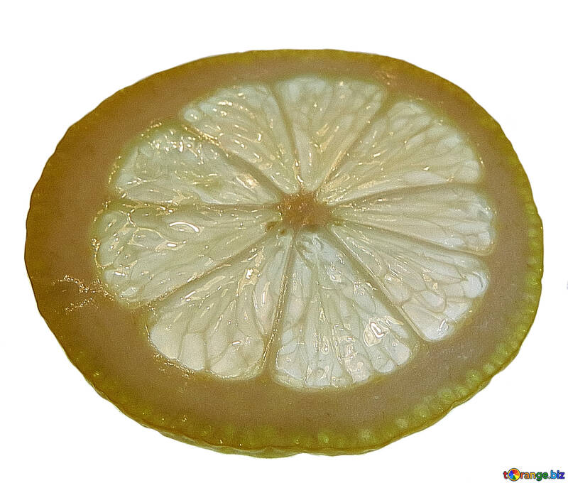 Zitrone №16169