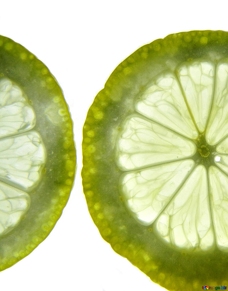 Fatias de limão №16161