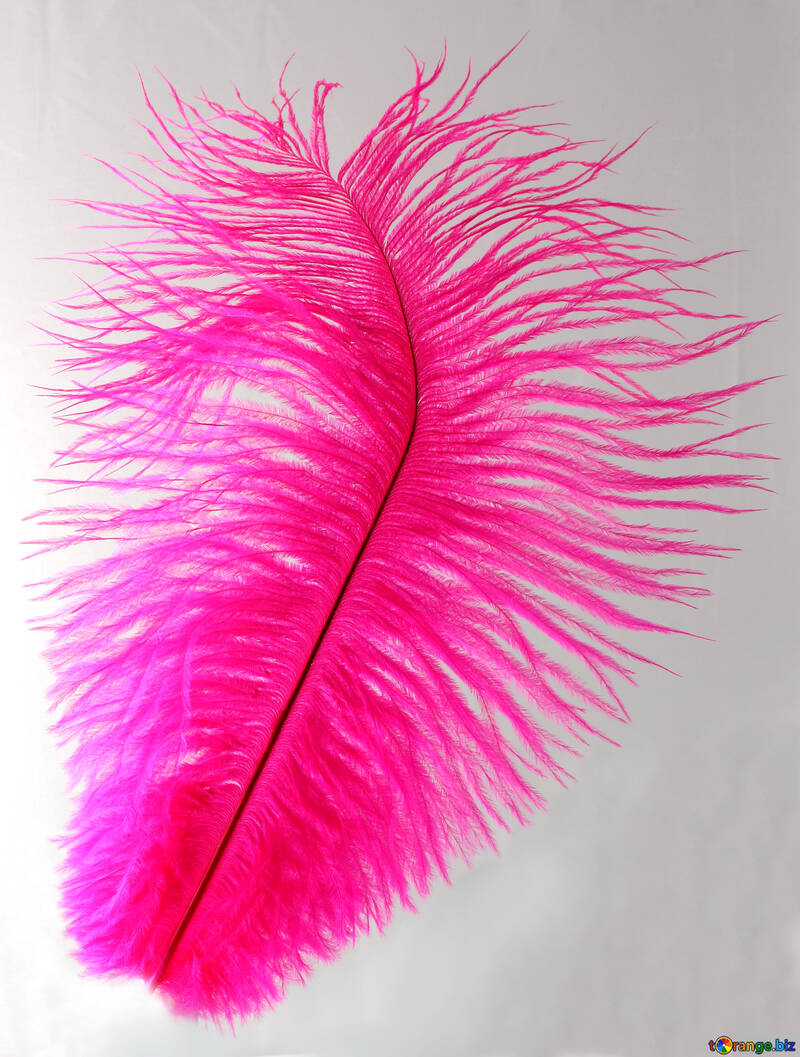 Color dyed feather №16324