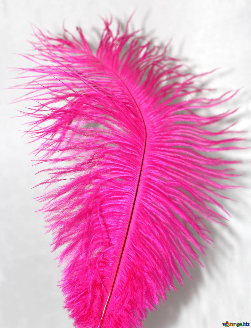 Dyed feather №16327