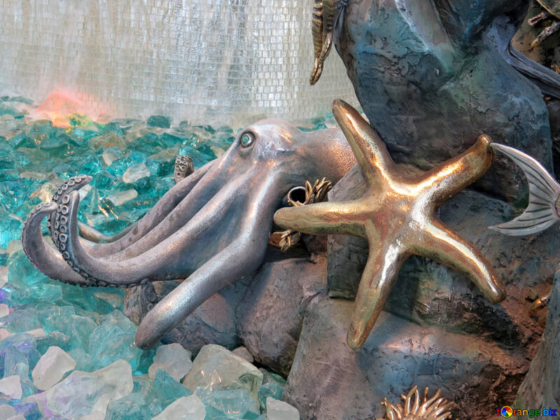 Octopus and starfish №16559
