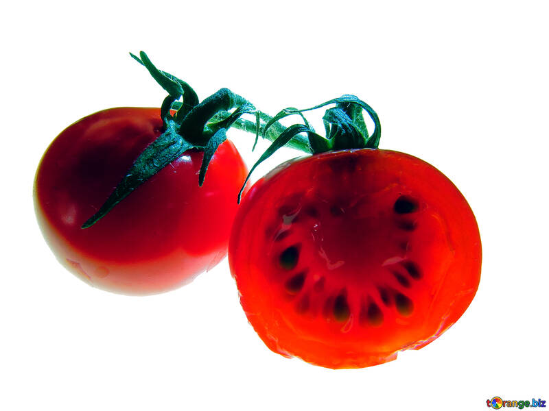 Tomatoes №16710