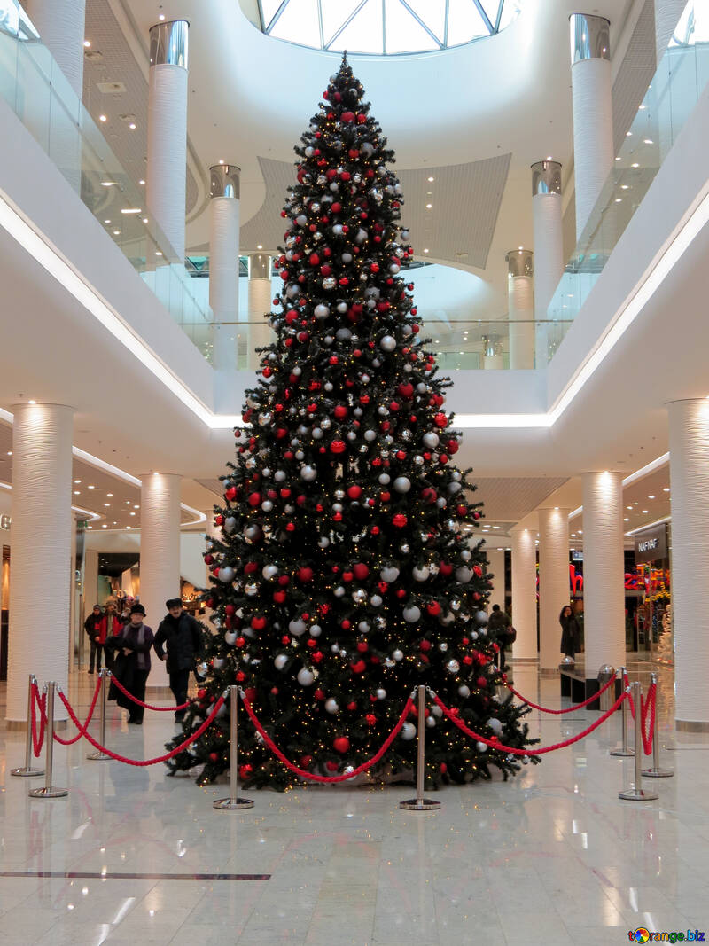 Christmas tree in the store №16233