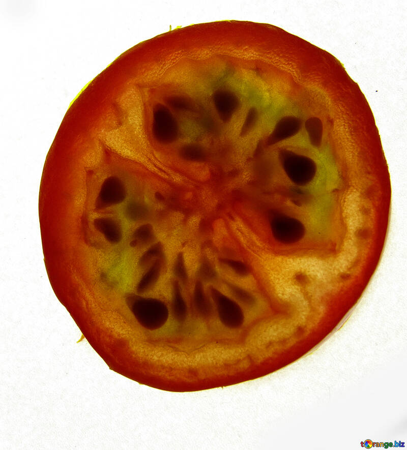 Tranche de tomate №16708