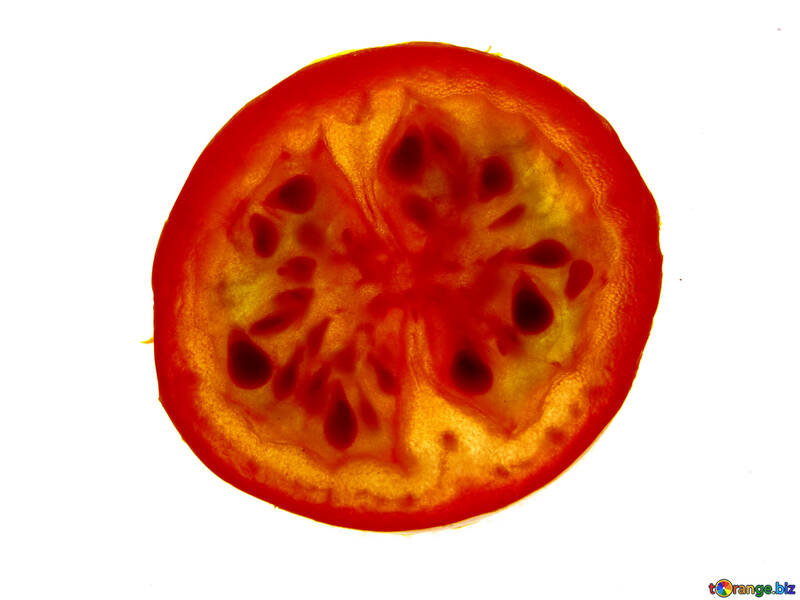 Tomate sur la clairance №16707