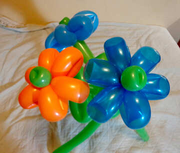 Flowers balloons №17887
