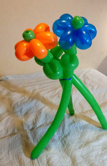A bouquet of balloons №17888