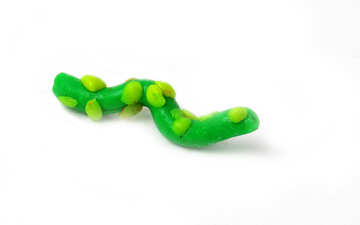 Caterpillar de gusano №17297