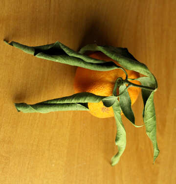 Mandarin mit trockenen Blättern №17993