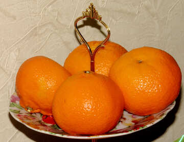 Oranges №17791