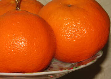 オレンジ №17792