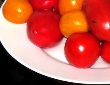 Tomaten №17797