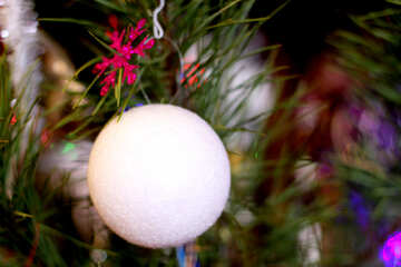 La sfera bianca sull`albero №17979