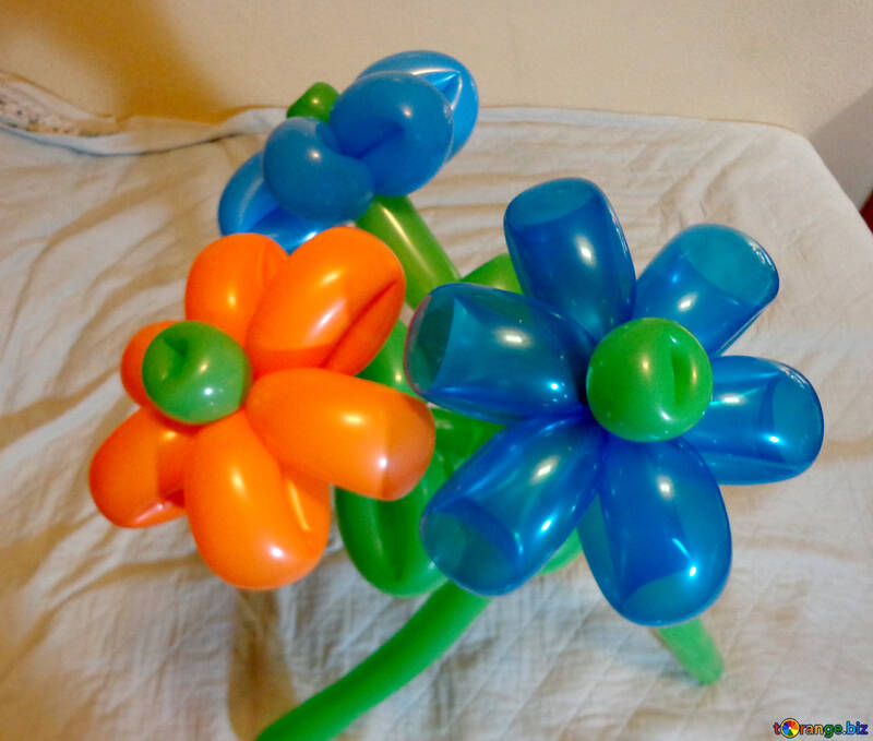 Flowers balloons №17887