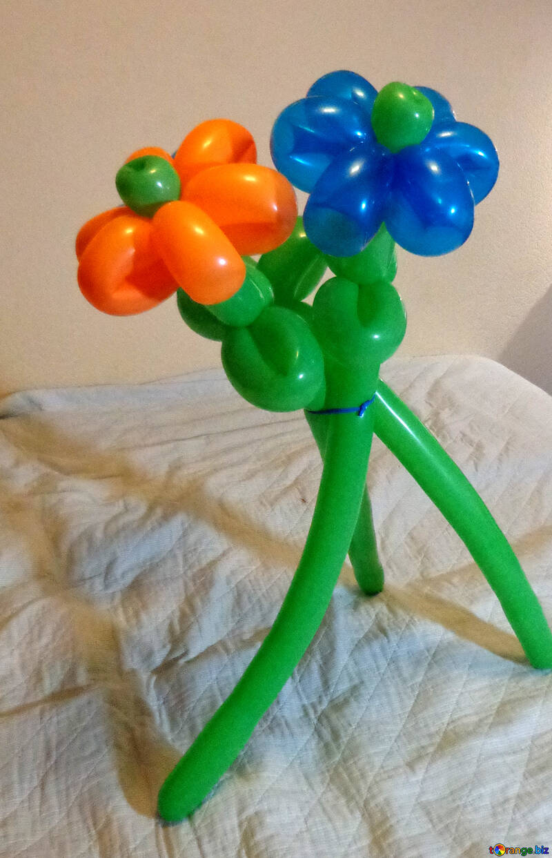 Ein Bouquet von Ballons №17888