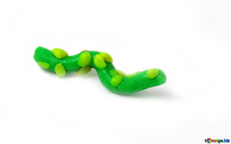 Caterpillar Worm №17297