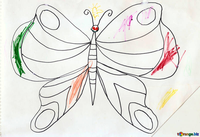 Children`s coloring butterfly №17263