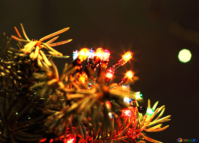 Christmas lights №17925