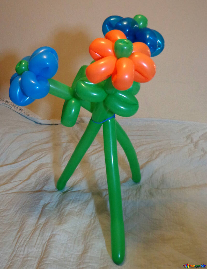 Квіти з кульок №17889
