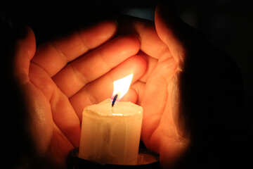 Candle hand Palm №18115