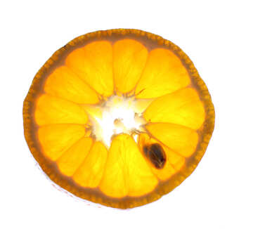 Mandarin transparent №18344