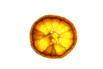 Rayed mandarin №18341