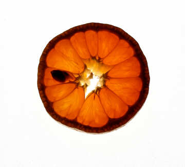 Mandarine rouge №18342