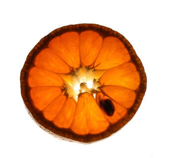 Una rodaja de mandarina №18345