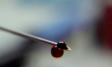 A drop of blood on needle syringe №18923