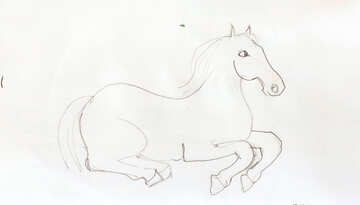 Dibujo lápiz de caballo №18703