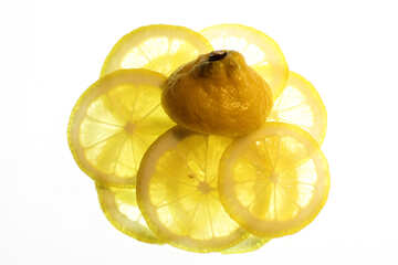 Lemon drops №18328