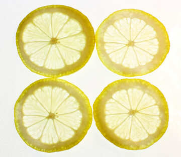 Lemon texture №18335