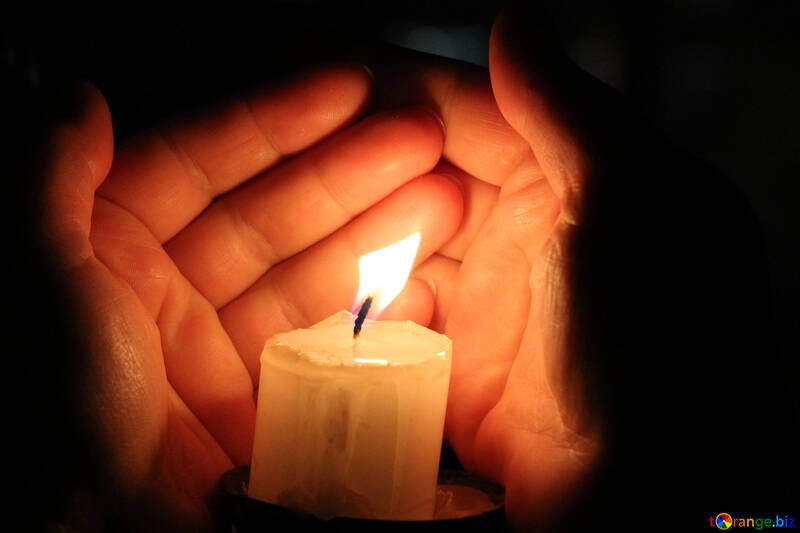 Candle hand Palm №18115