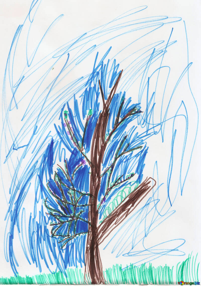 Árvore lilás.Desenho de crianças. №18698