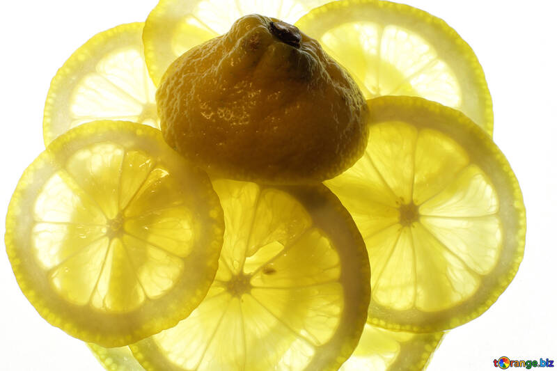 Fatias finas de limão №18329