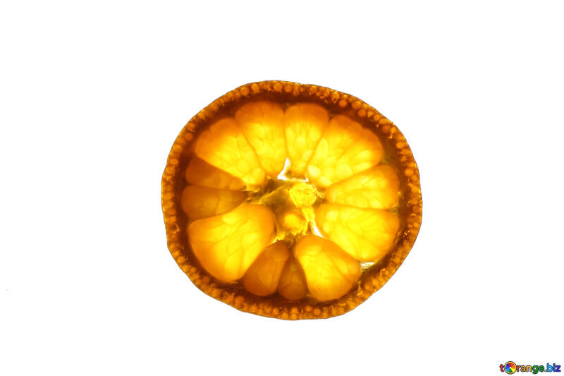 Rayed mandarin №18341