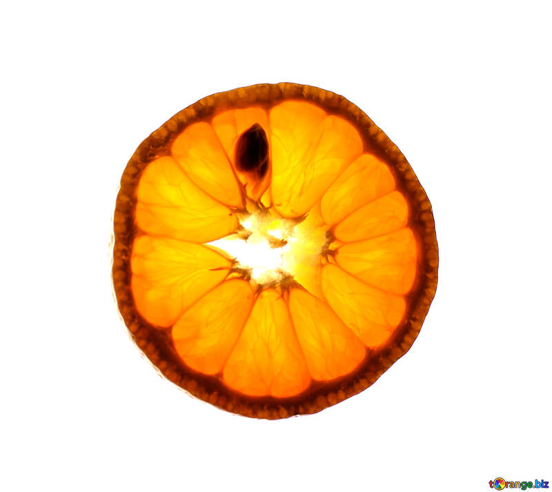 Fatias de tangerina №18343
