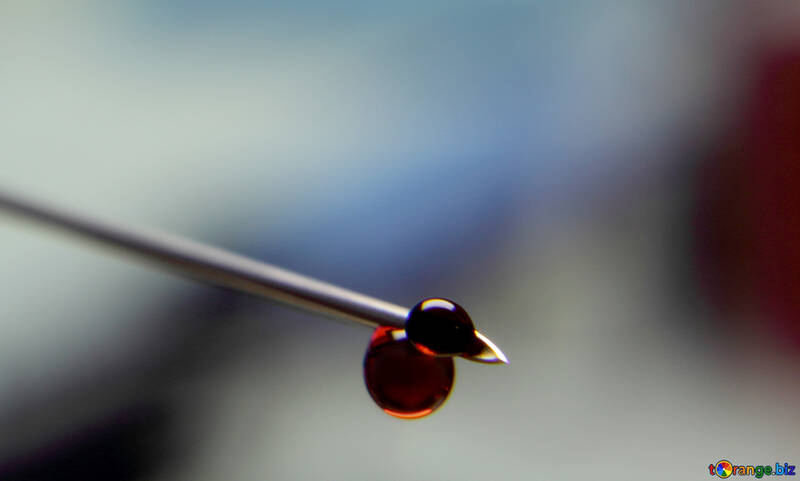 A drop of blood on needle syringe №18923