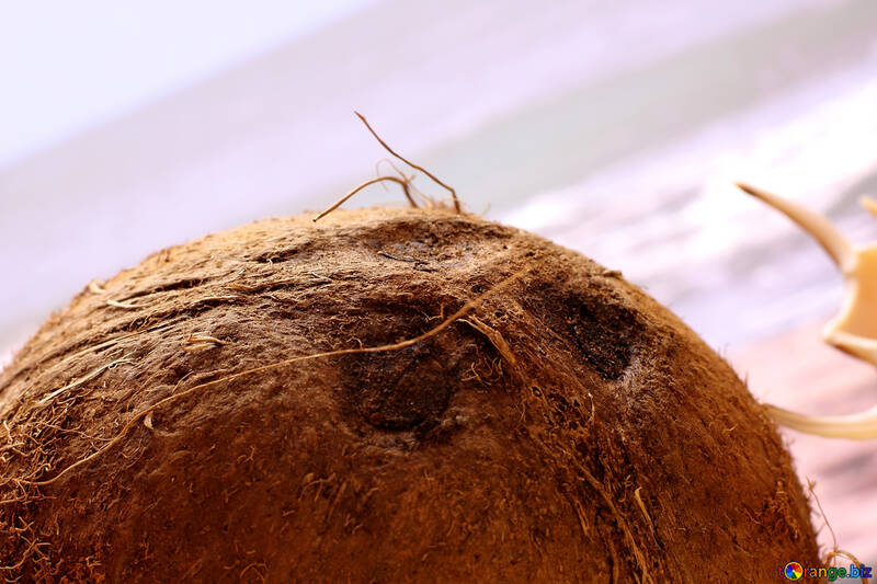 Noce di cocco sulla spiaggia №18784