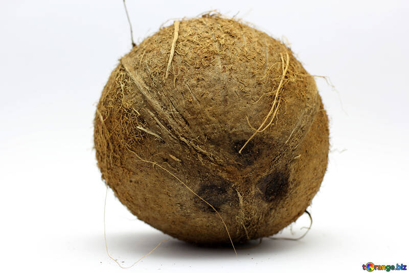 Coconut on white background №18798