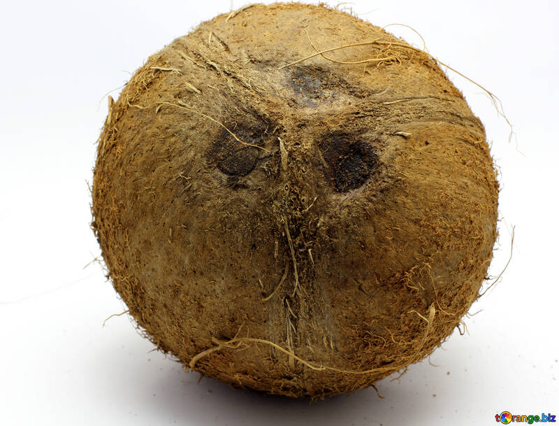 Coconut without background №18793