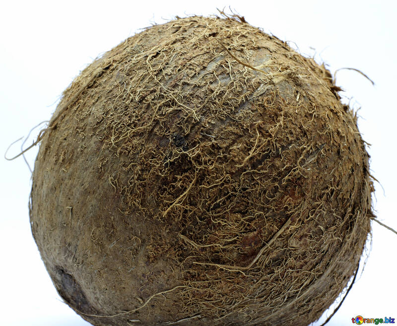 Coconut without background №18794