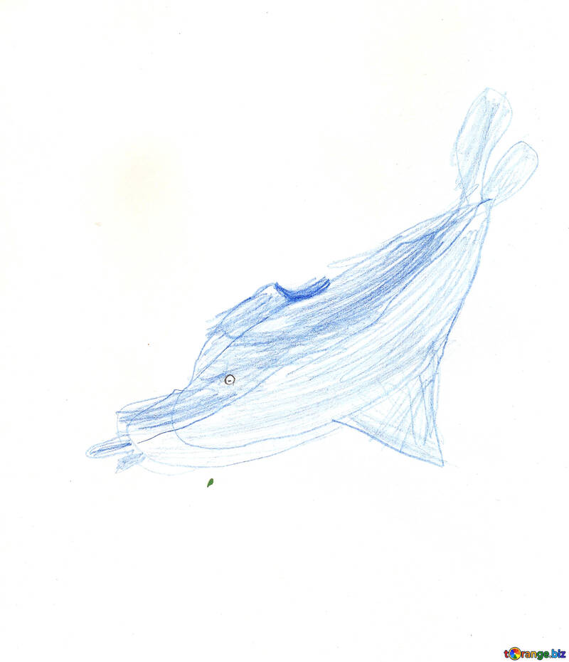 Малюнок олівцем дельфін. Дитячий малюнок. №18710