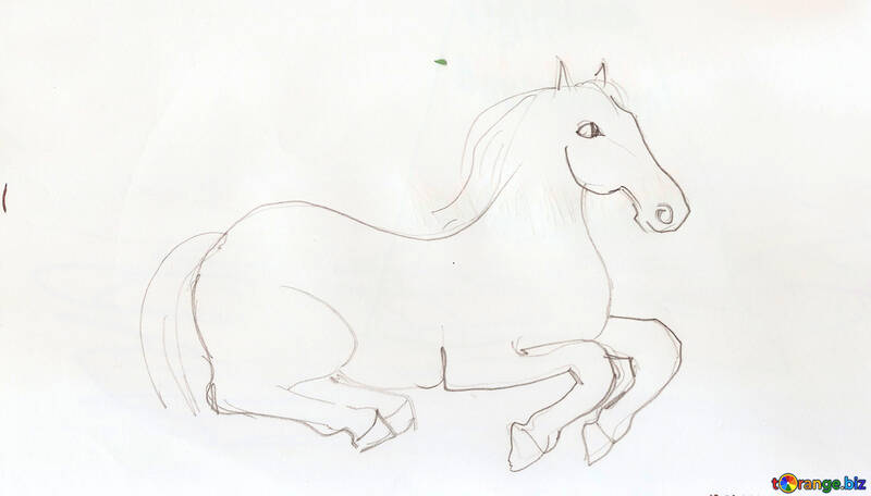 Pencil sketch of horse №18703