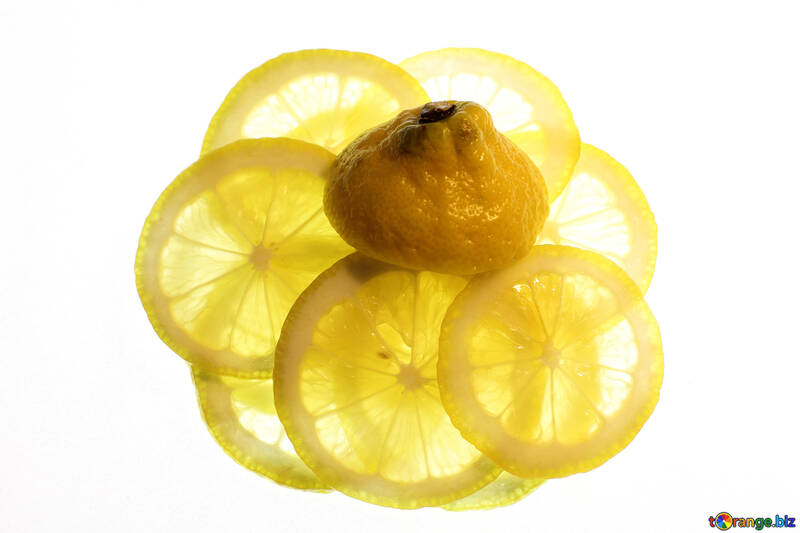 Лимонні дольки №18328